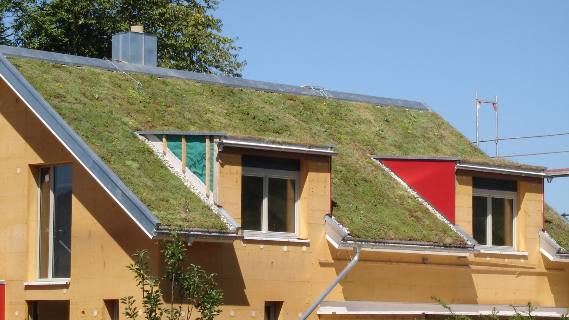 Dachbegrünung bei 38 Grad Dachneigung